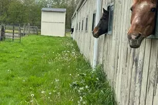 6810 Barrett Rd, Geneva, OH 44041 - Photo 72