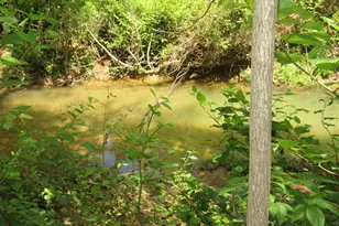 6800 Center Rd, Philo, OH 43771 - Photo 20