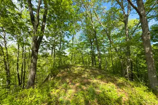 140 Sycamore St, Glouster, OH 45732 - Photo 12