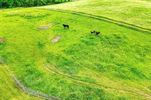 10057 State Route 776, Jackson, OH 45640 - Photo 56