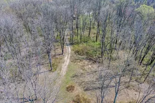 58393 N Branch Rd, South Bloomingville, OH 43152 - Photo 28