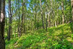 1801 River Rd, Granville, OH 43023 - Photo 16