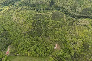 26975 Chapel Ridge Rd, South Bloomingville, OH 43152 - Photo 86