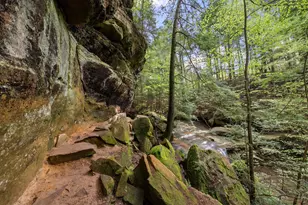 26975 Chapel Ridge Rd, South Bloomingville, OH 43152 - Photo 82