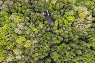 26975 Chapel Ridge Rd, South Bloomingville, OH 43152 - Photo 94