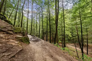 26975 Chapel Ridge Rd, South Bloomingville, OH 43152 - Photo 78