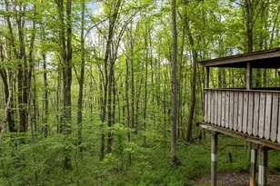 26975 Chapel Ridge Rd, South Bloomingville, OH 43152 - Photo 58