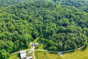 1790 Hull Rd, Patriot, OH 45658 - Photo 36