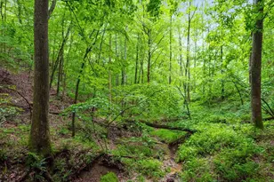 24000 State Route 180, Rockbridge, OH 43149 - Photo 50