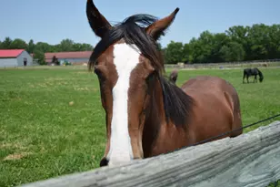 10156 Marysville Rd, Ostrander, OH 43061 - Photo 96