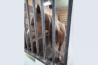 10156 Marysville Road, Ostrander, OH 43061 - Photo 94