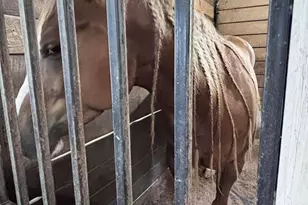 10156 Marysville Rd, Ostrander, OH 43061 - Photo 94