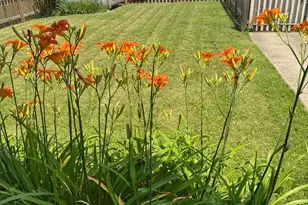 123 Arnold Ave, Lancaster, OH 43130 - Photo 14