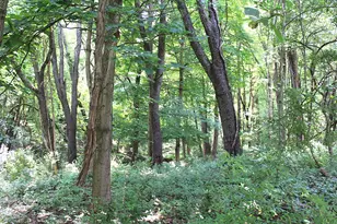 8870 Olentangy River Rd, Delaware, OH 43015 - Photo 54