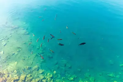 6247 State Route 61, Shelby, OH 44875 - Photo 66