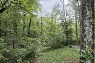 12217 Goldenrod Ln, Amanda, OH 43102 - Photo 40