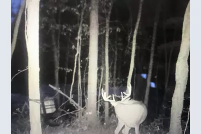 4804 Marion Road NW, Centerburg, OH 43011 - Photo 58