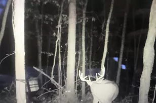 4804 Marion Rd NW, Centerburg, OH 43011 - Photo 58