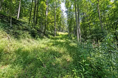 24272 Conrad Road, Laurelville, OH 43135 - Photo 22