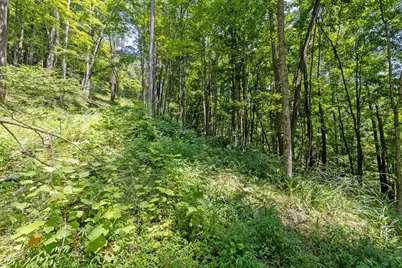 24272 Conrad Road, Laurelville, OH 43135 - Photo 26