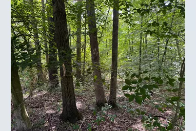 16487 Flint Ridge Rd Street NE #(Lot L Woods Flint Ridge), Newark, OH 43055 - Photo 10