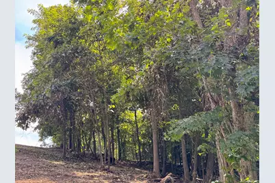 16487 Flint Ridge Rd Street NE #(Lot L Woods Flint Ridge), Newark, OH 43055 - Photo 38