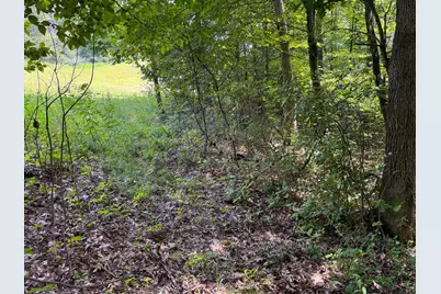 16487 Flint Ridge Rd Street NE #(Lot L Woods Flint Ridge), Newark, OH 43055 - Photo 12