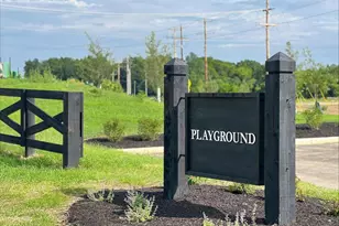 870 Ping Ln, Sunbury, OH 43074 - Photo 48