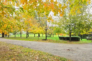 5280 Township Road 103, Mount Gilead, OH 43338 - Photo 10