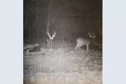 [Address not provided], Newark, OH 43055 - Photo 44