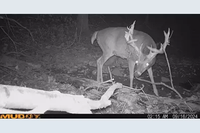 0 Potts Hill Road, Bainbridge, OH 45612 - Photo 20