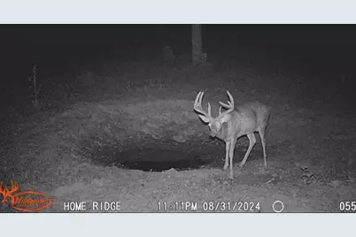 0 Potts Hill Rd, Bainbridge, OH 45612 - Photo 26