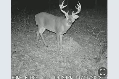 0 Potts Hill Rd, Bainbridge, OH 45612 - Photo 24