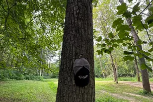 289 Elmville Rd, Peebles, OH 45660 - Photo 22