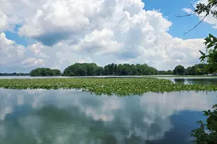 13981 Custers Point Rd NE, Thornville, OH 43076 - Photo 16