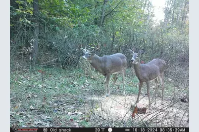12170 State Route 93 N, Logan, OH 43138 - Photo 10