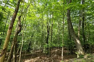 1756 Mohican Ln, Hide-A-Way Hills, OH 43107 - Photo 1