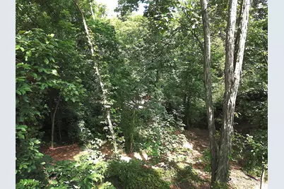 0 N Dean Road, Ostrander, OH 43061 - Photo 10