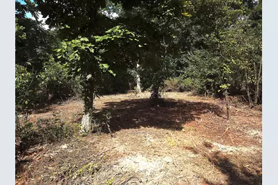 0 N Dean Road, Ostrander, OH 43061 - Photo 6