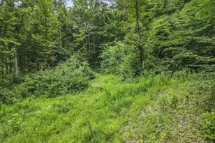 0 Greens Run Rd, Glouster, OH 45732 - Photo 80