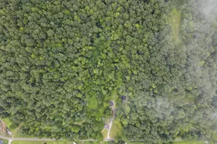 0 Greens Run Rd, Glouster, OH 45732 - Photo 58