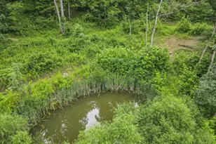 0 Greens Run Rd, Glouster, OH 45732 - Photo 98