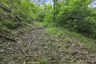 0 Greens Run Rd, Glouster, OH 45732 - Photo 82