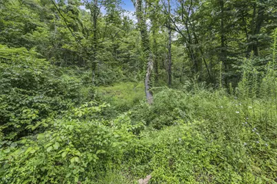 0 Greens Run Road, Glouster, OH 45732 - Photo 100