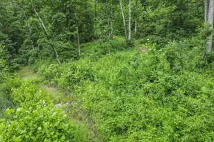 0 Greens Run Rd, Glouster, OH 45732 - Photo 94