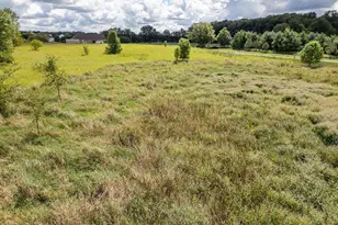 0 Township Road 111, Mount Gilead, OH 43338 - Photo 10