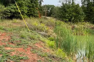 13877 Portie Flamingo Road SE, Corning, OH 43730 - Photo 10