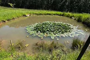 13877 Portie Flamingo Road SE, Corning, OH 43730 - Photo 4