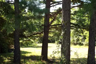 17687 Laurel Run Rd, Nelsonville, OH 45764 - Photo 8