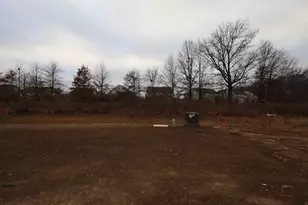 328 Royal Fern Ln, Lewis Center, OH 43035 - Photo 20